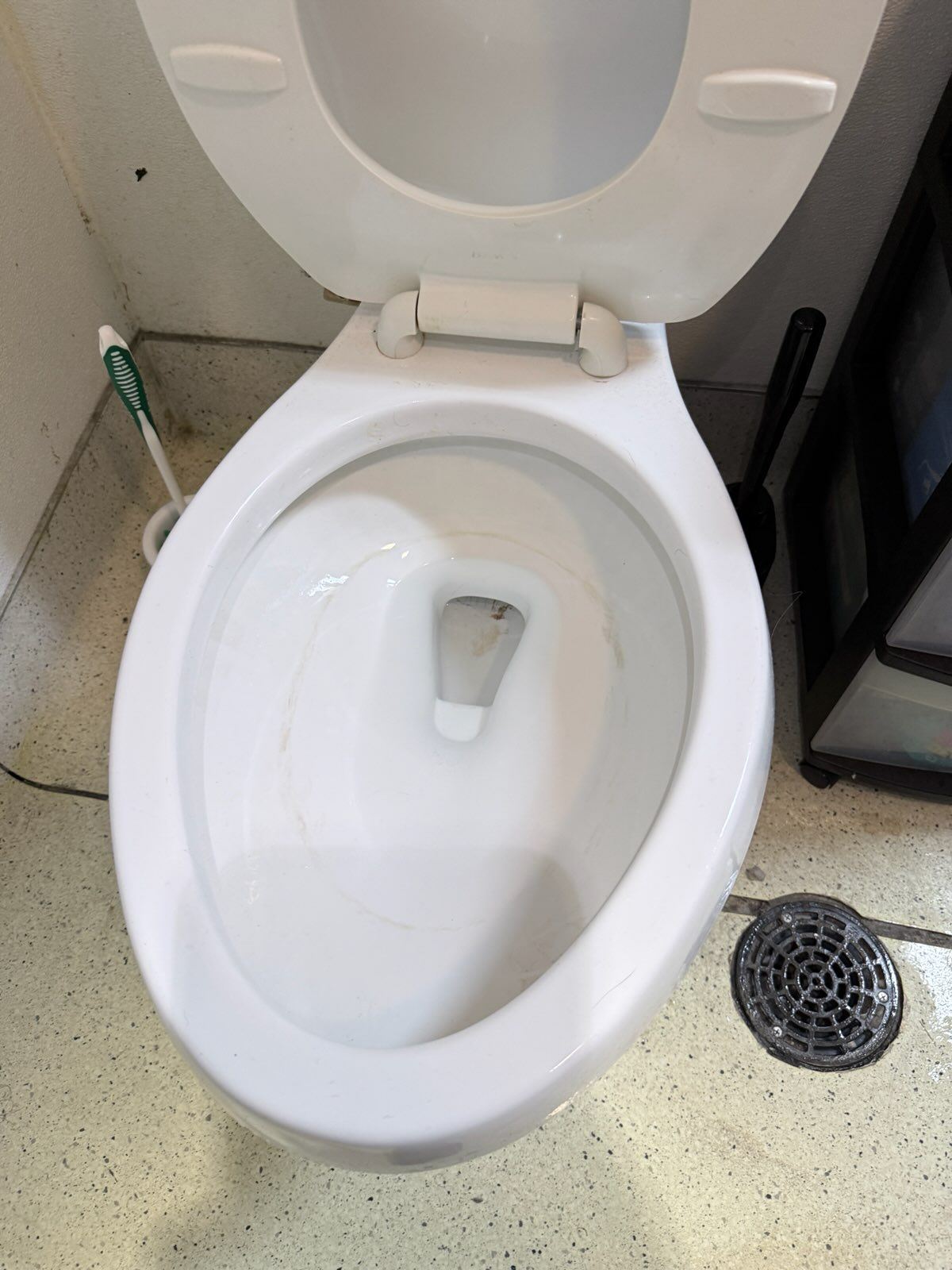 Clean, working toilet bowl after the blockage was cleared
